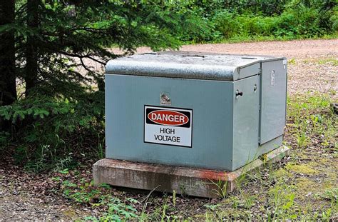 green outdoor electrical box|green utility box in yard.